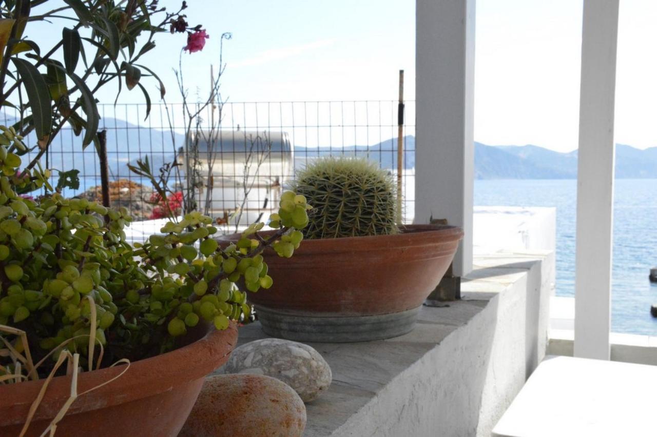 Thalassophile Eco House Villa Plaka  Exterior photo